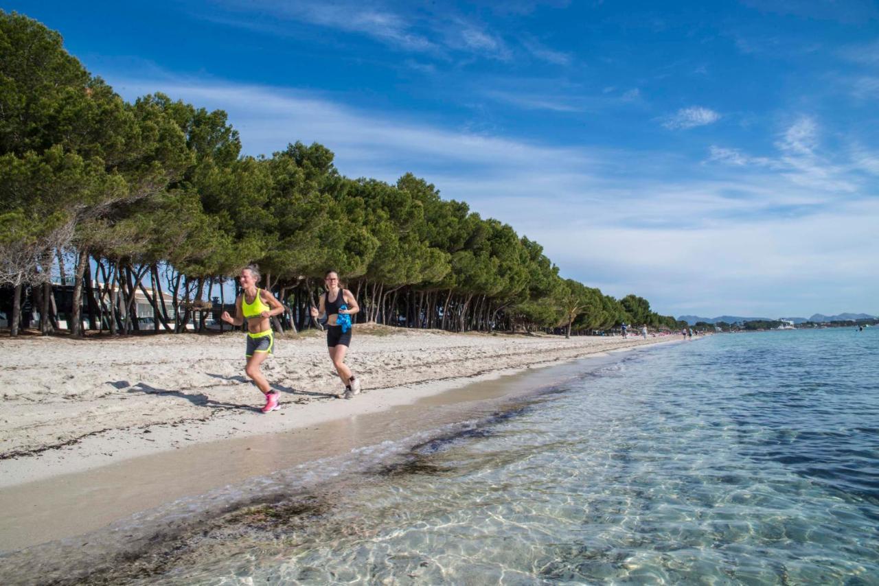 Beach Inn Apartment Alcúdia Kültér fotó