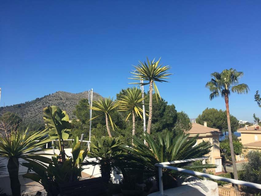 Beach Inn Apartment Alcúdia Kültér fotó