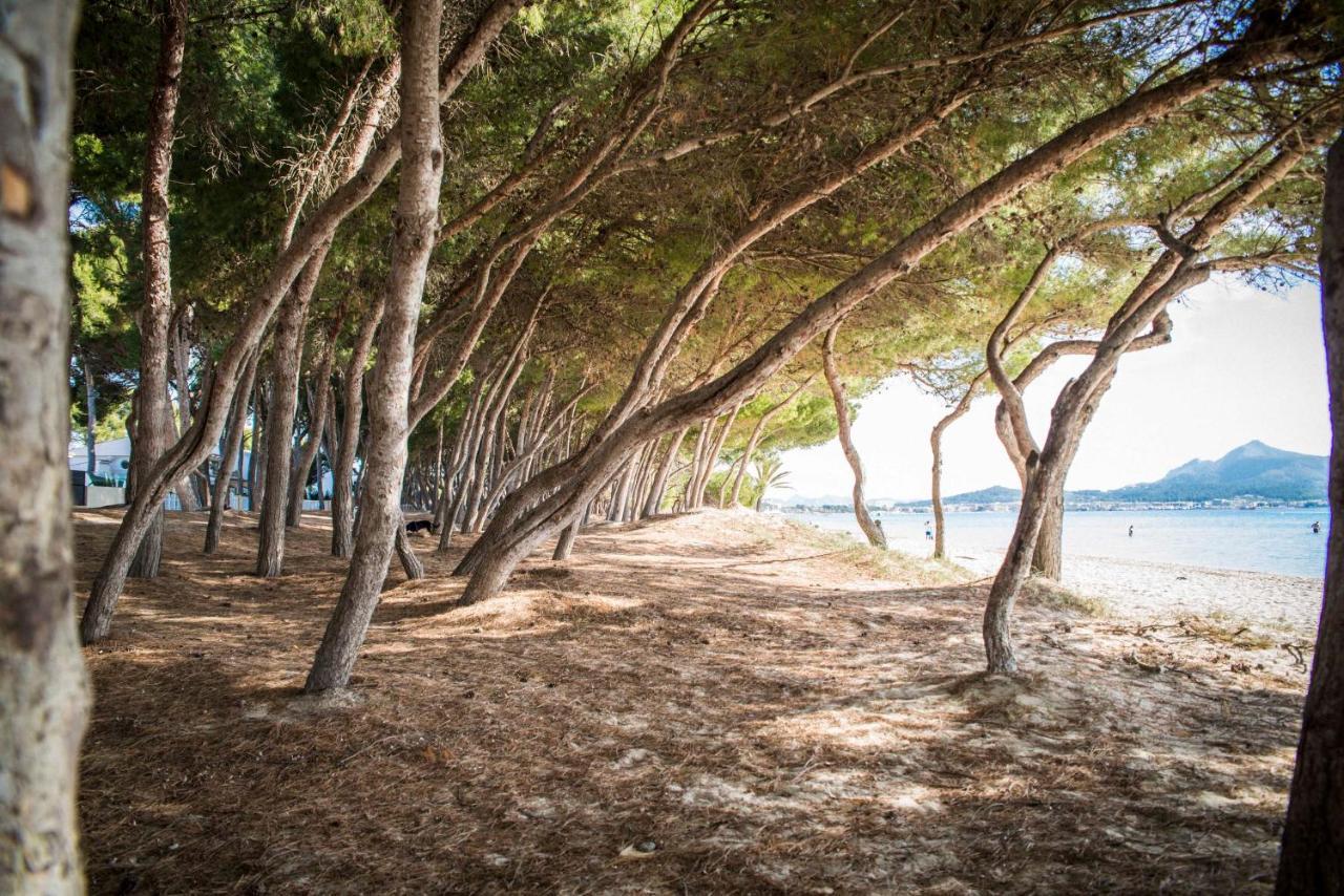 Beach Inn Apartment Alcúdia Kültér fotó